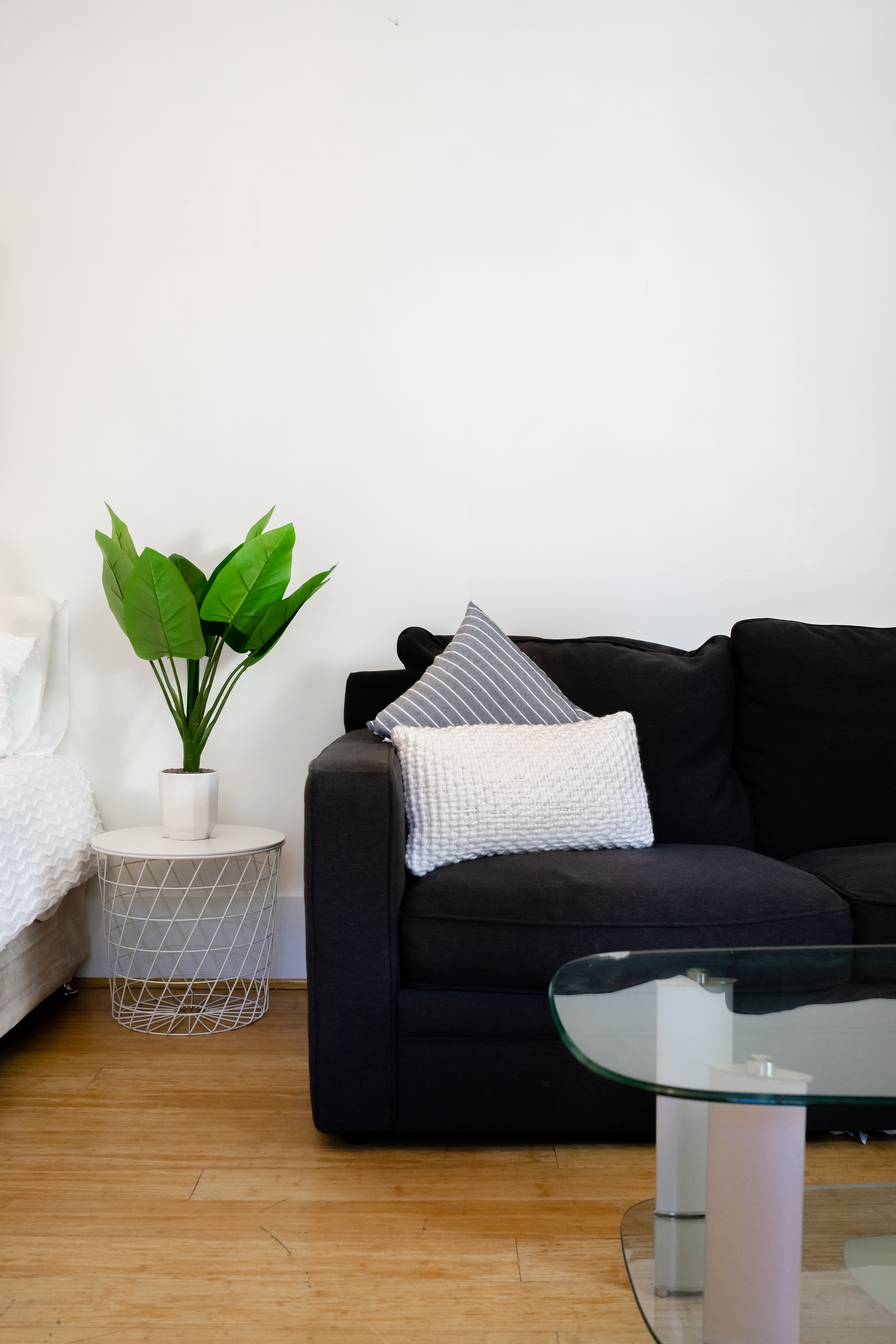 Marrickville coliving home 5
