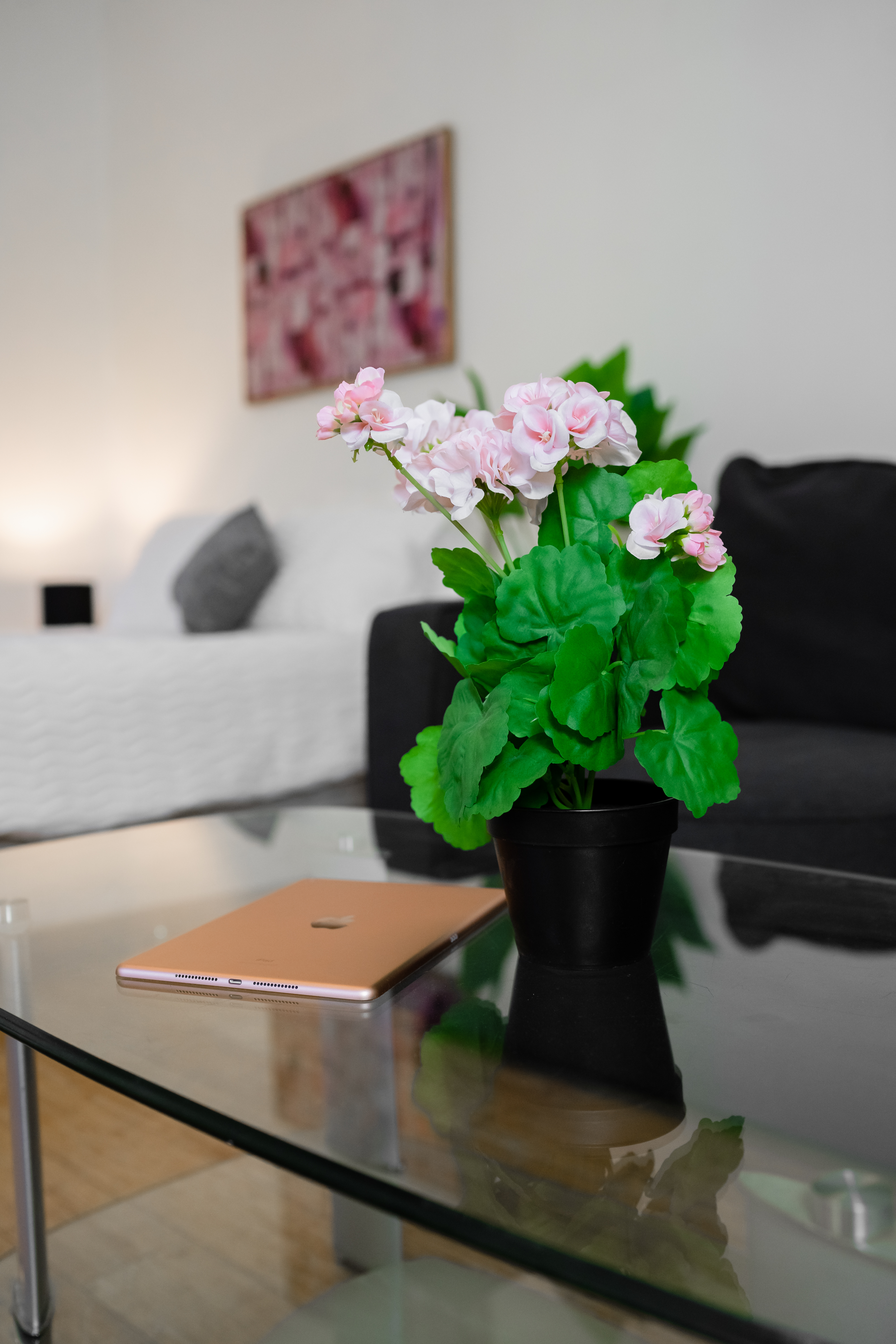 Ashfield coliving home 2