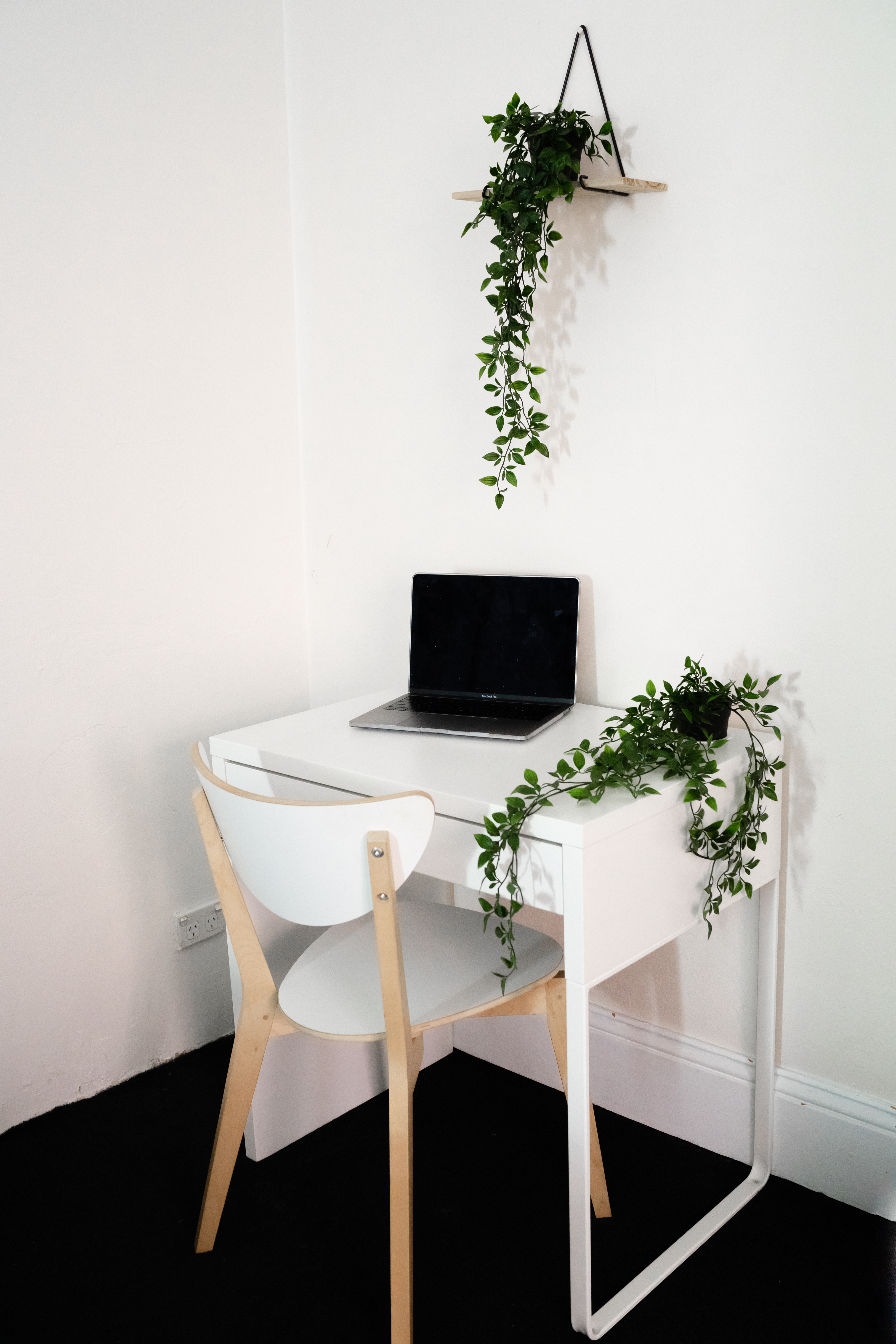 Avalon Beach coliving home 9