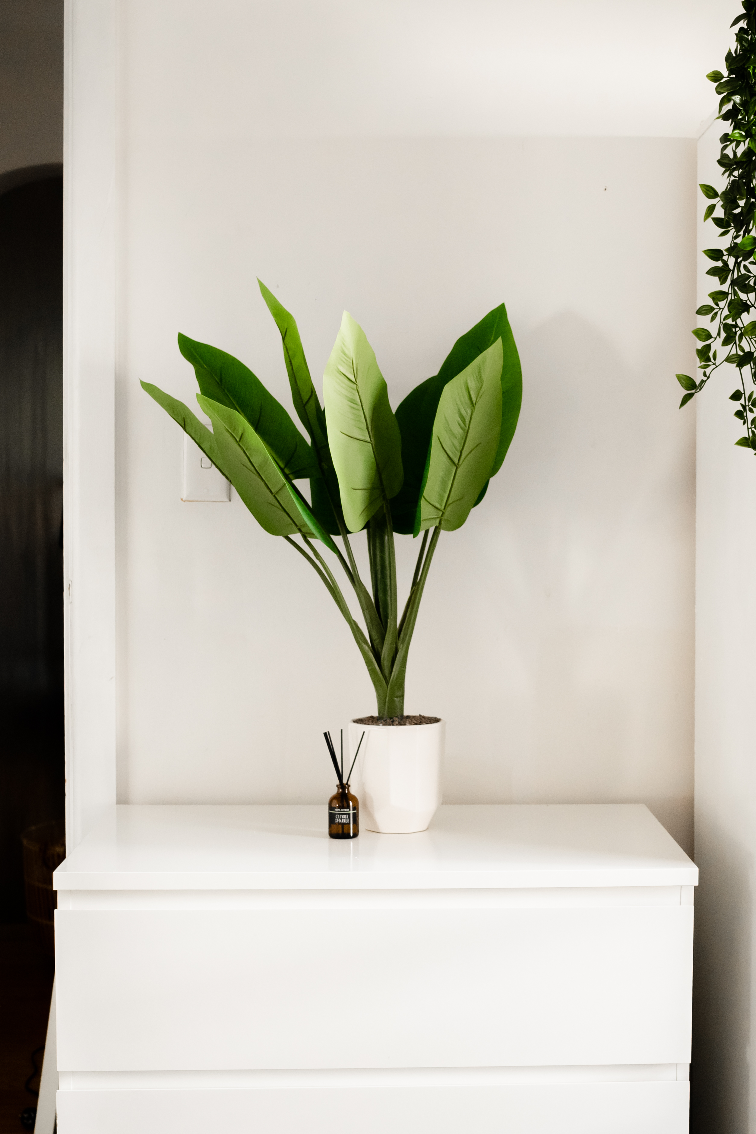 Parramatta coliving home 1