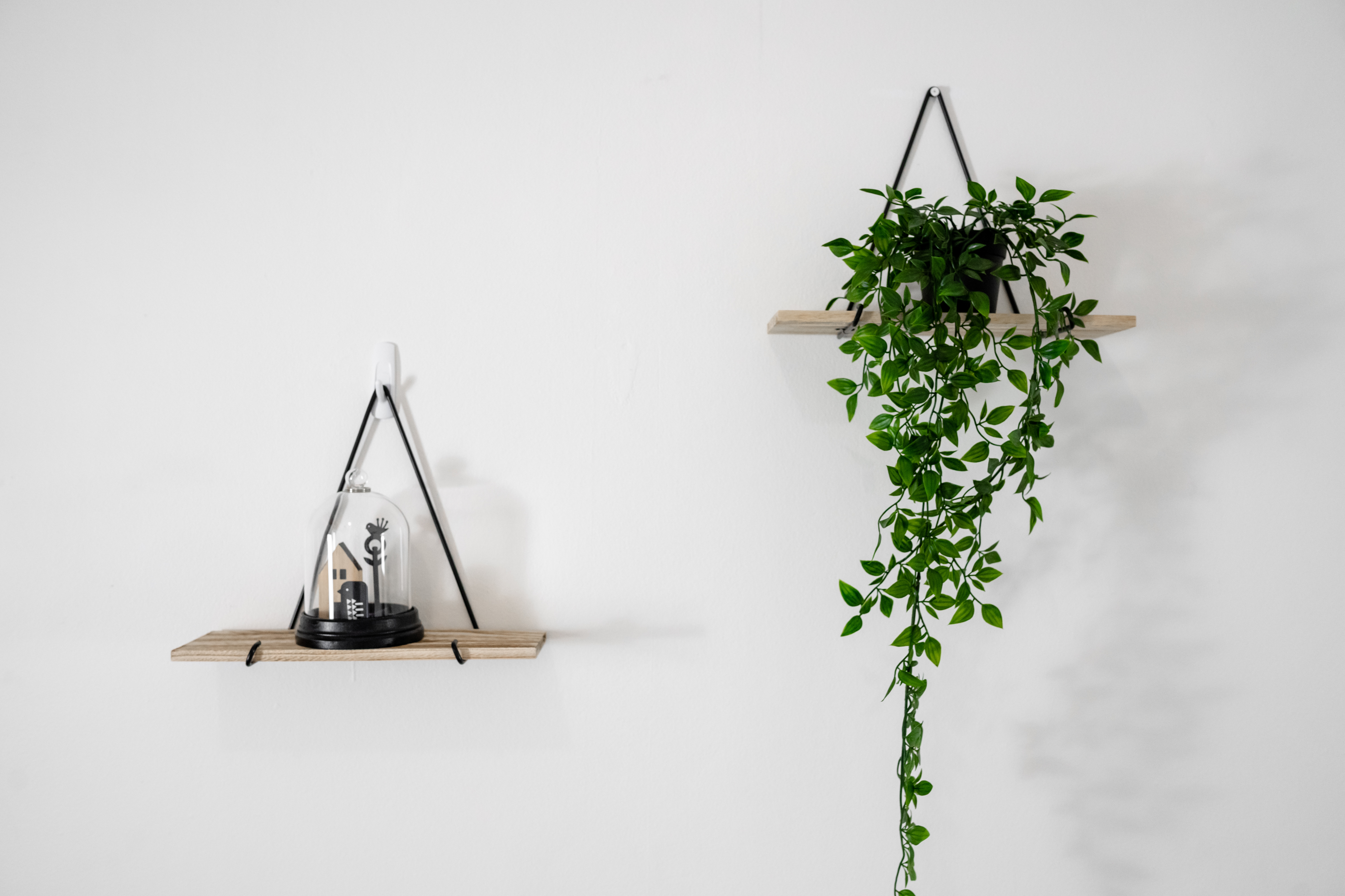 Putney coliving home 6