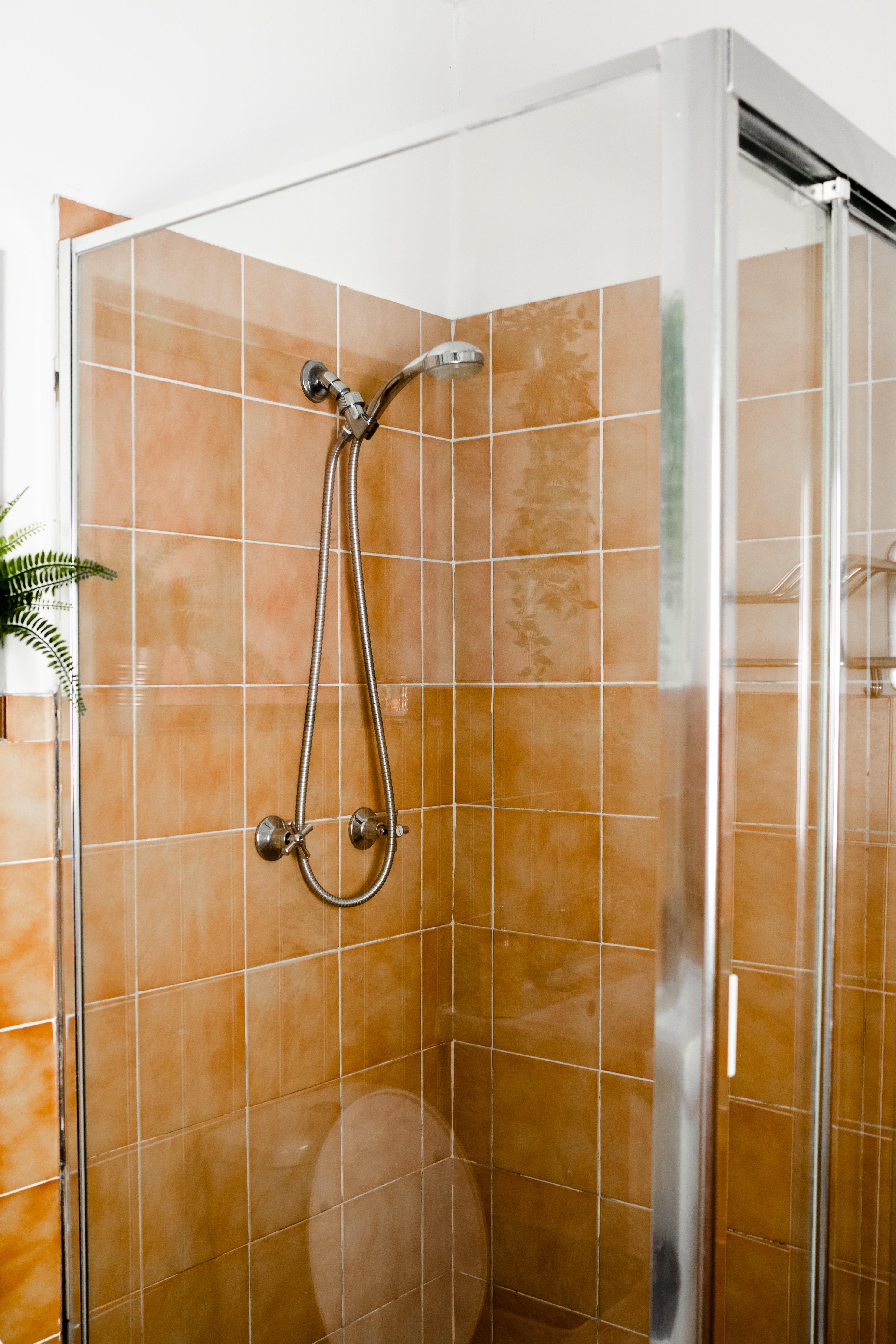 Rozelle coliving home 6