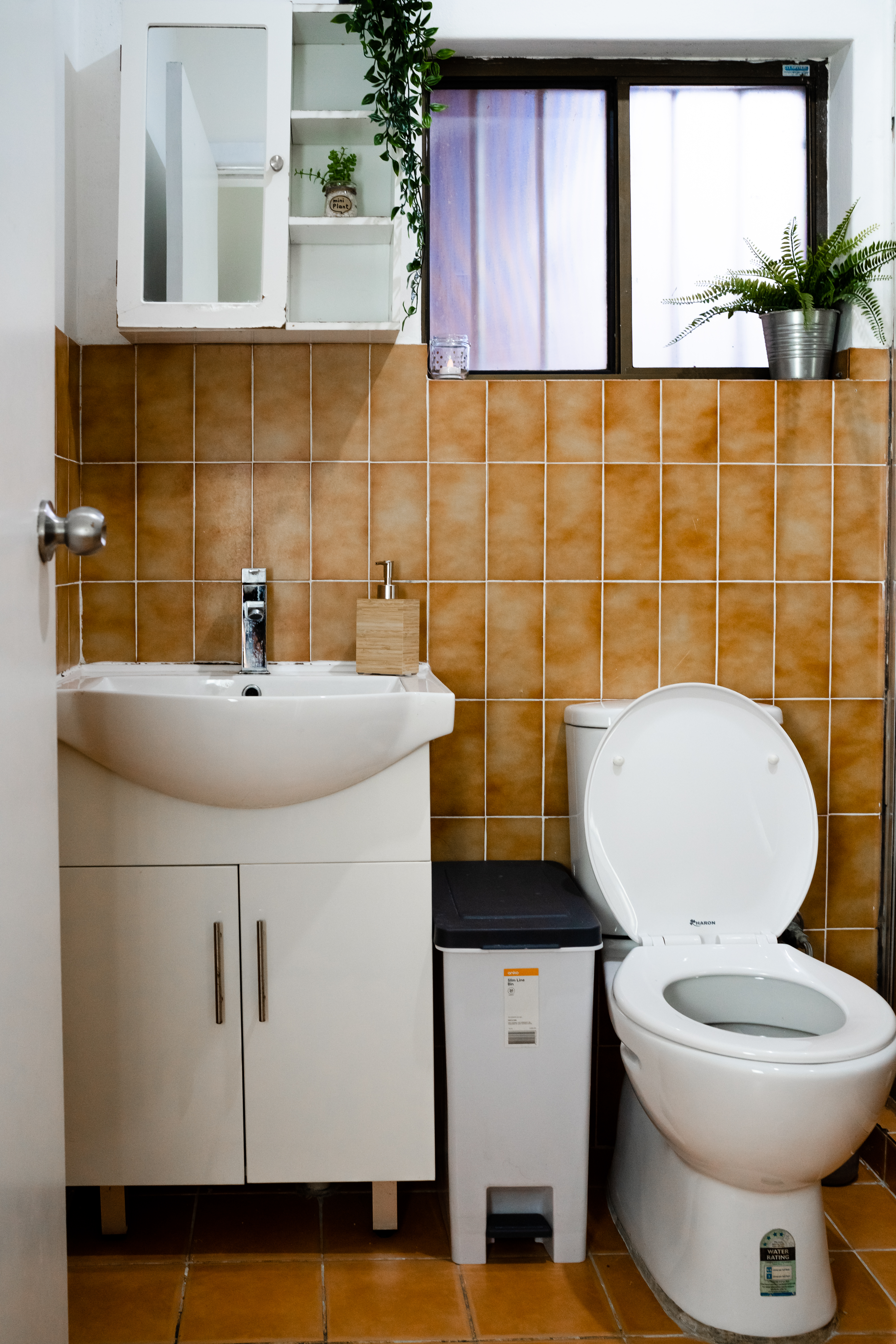 Ashfield coliving home 3