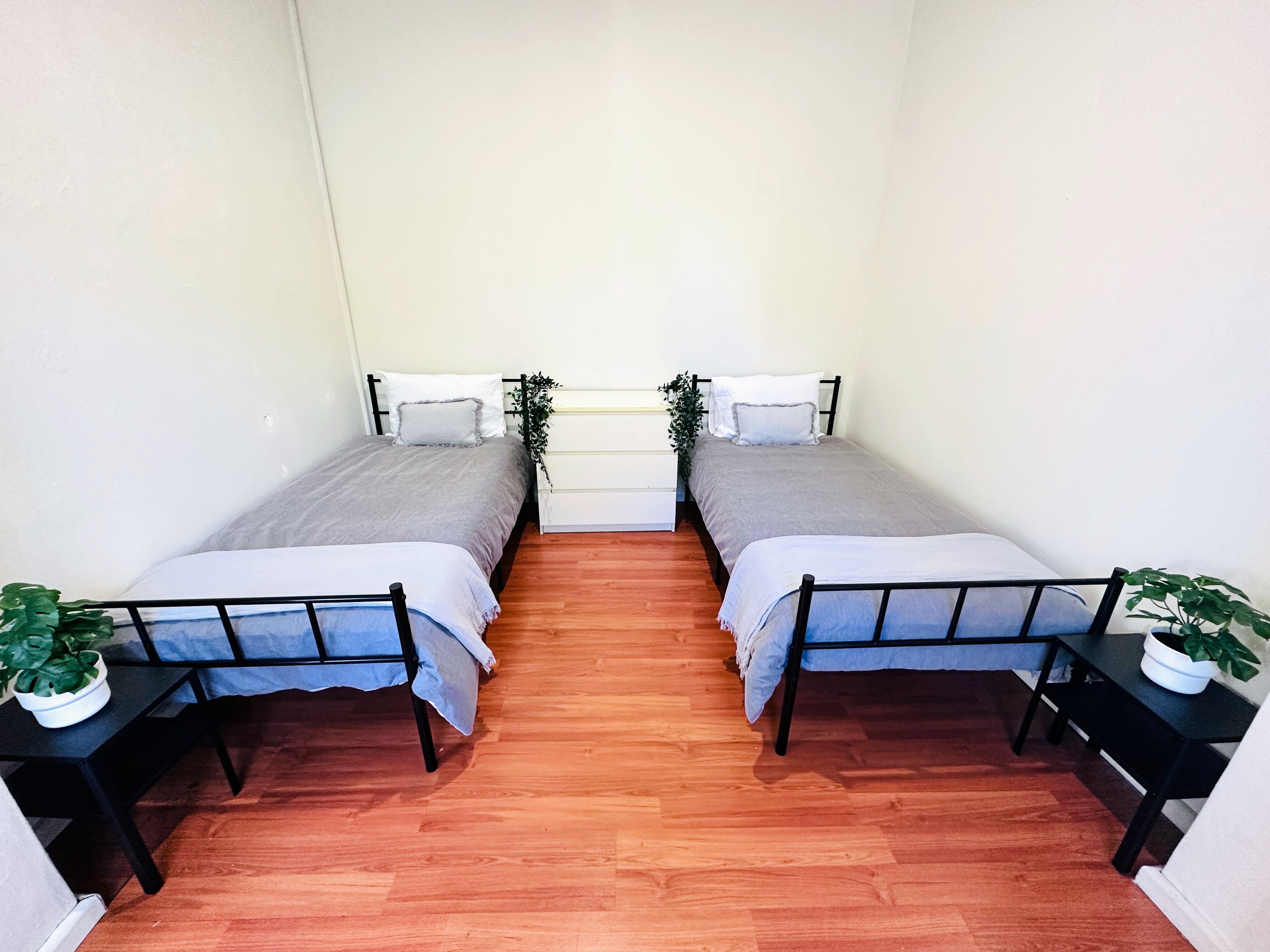 Rosebery coliving home 1