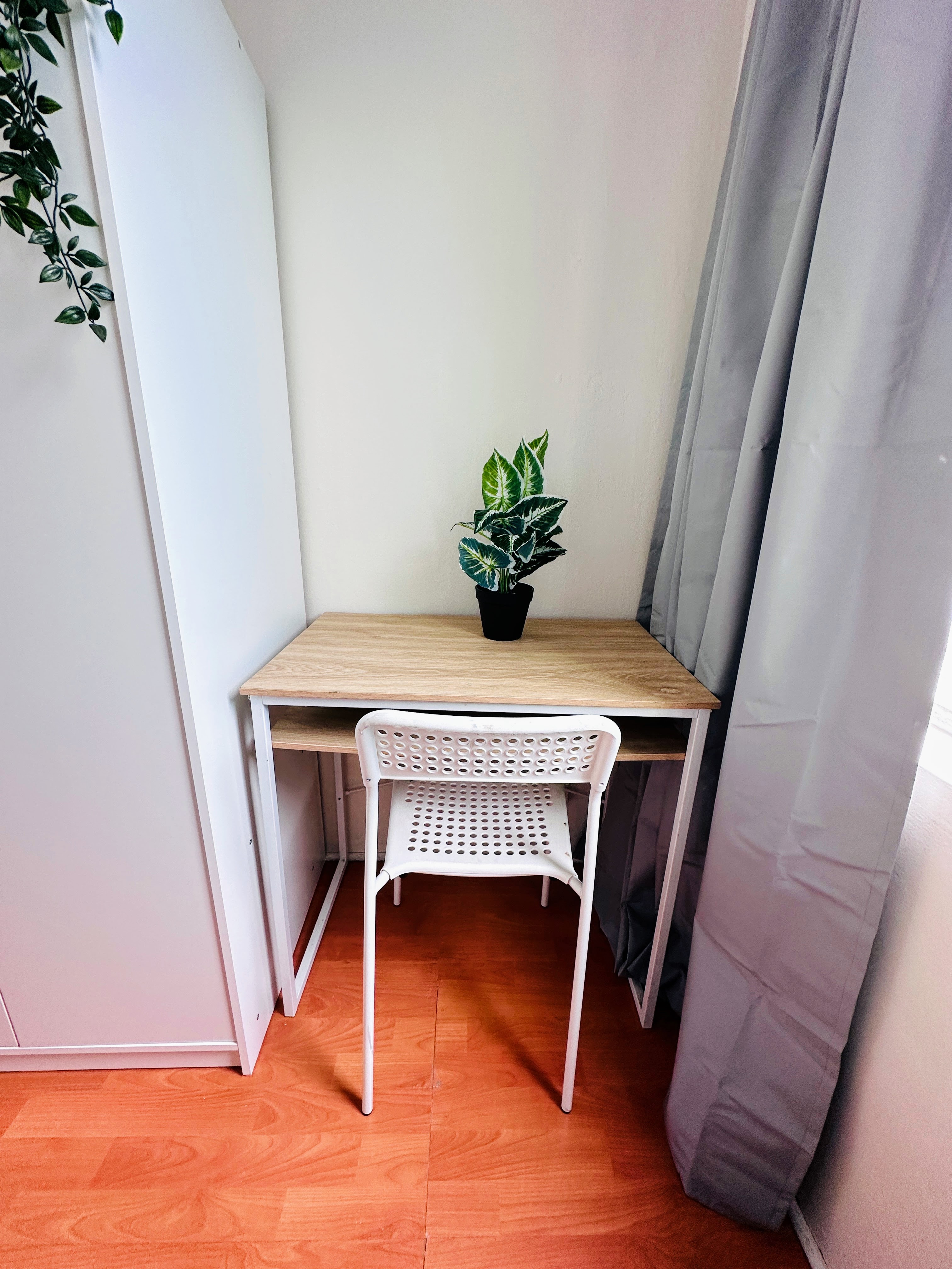 Cranbrook coliving home 8
