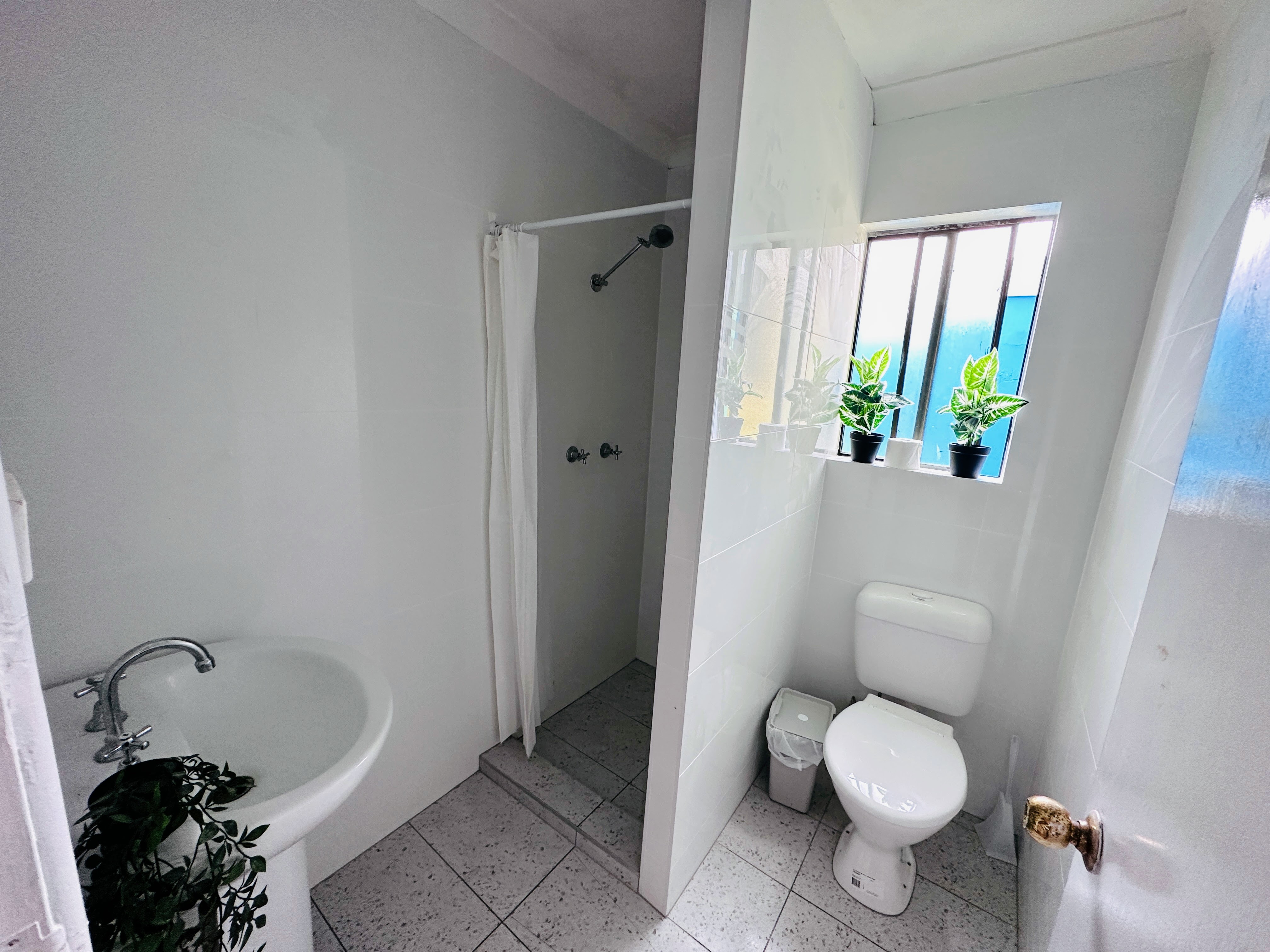 Alexandria coliving home 11