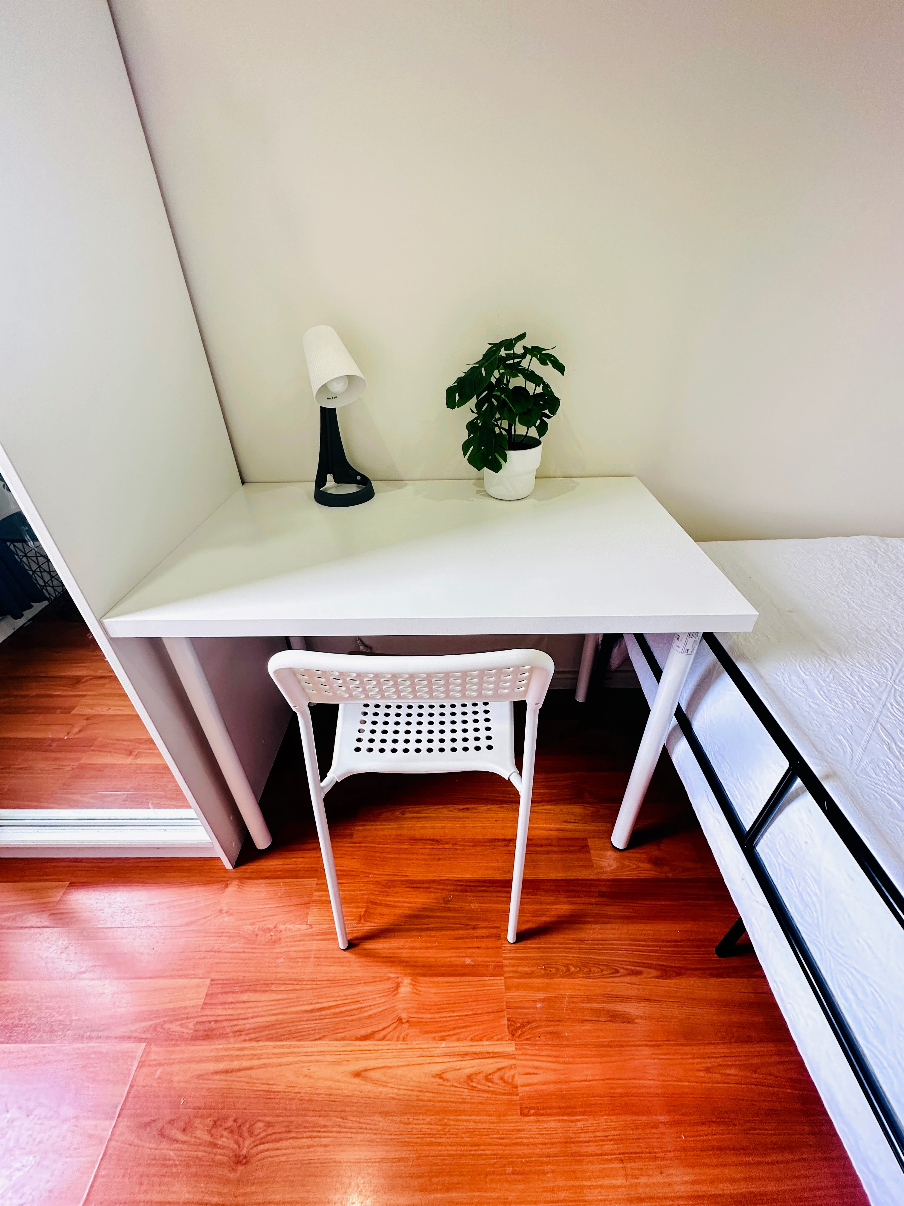 Avalon Beach coliving home 6