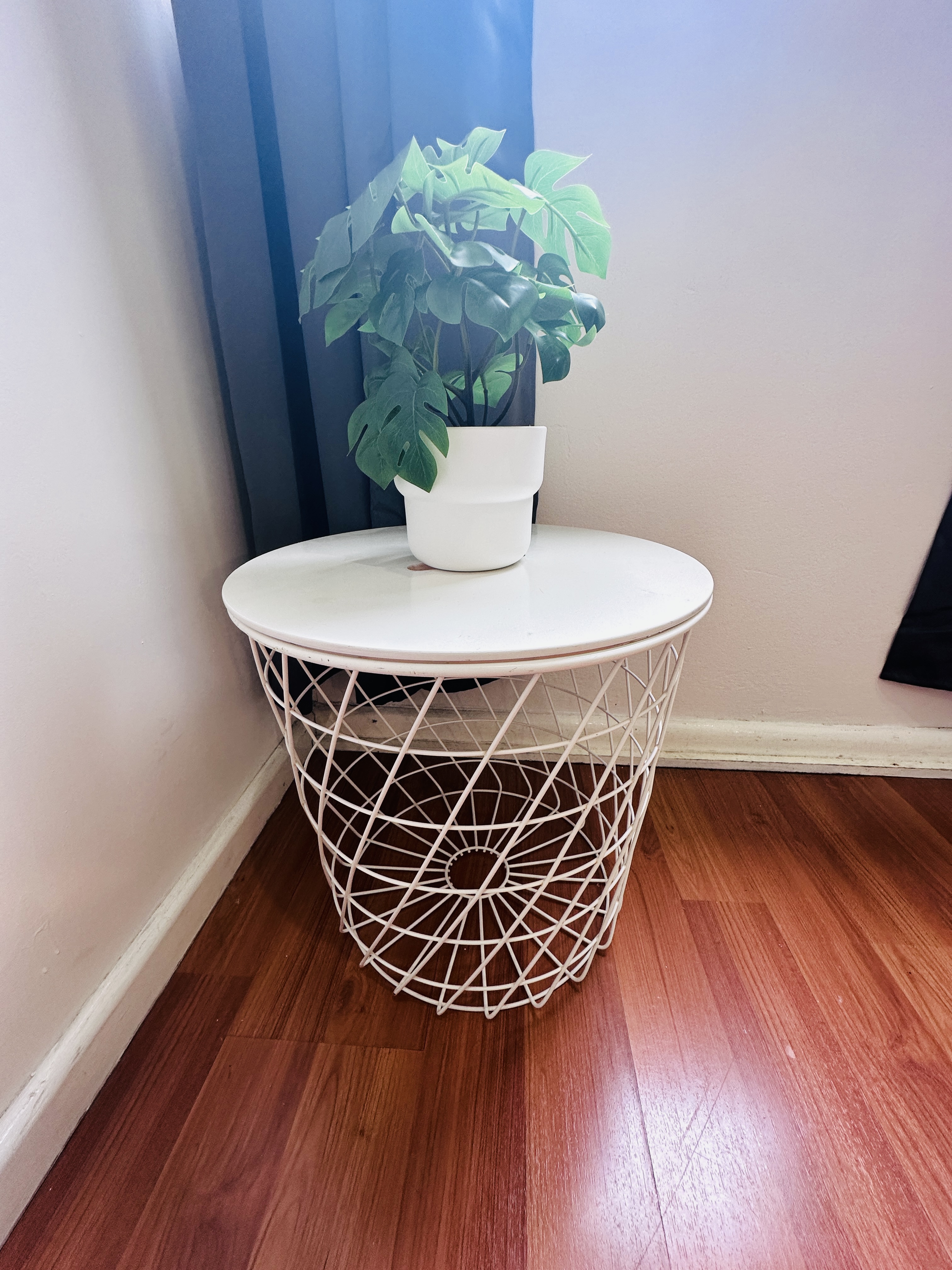 Strathfield coliving home 12