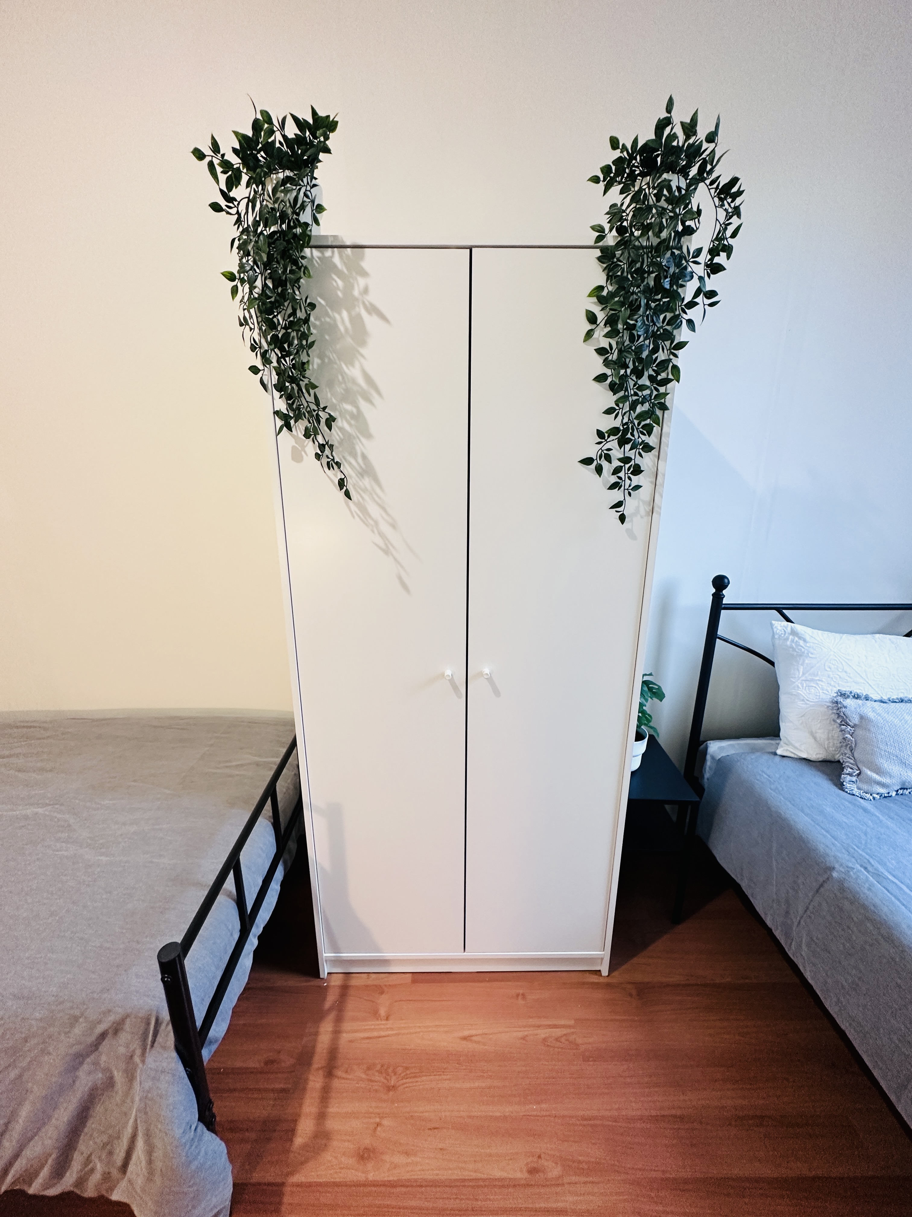 Alexandria coliving home 7