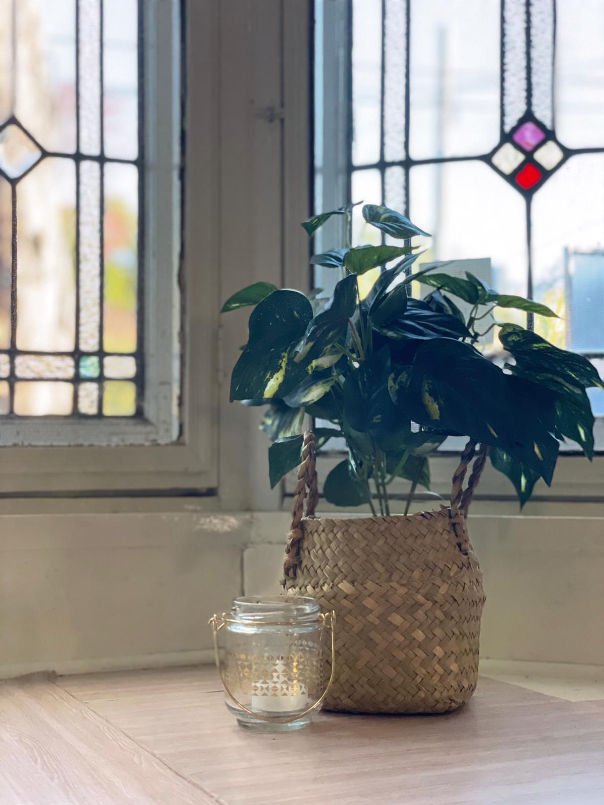Pyrmont coliving home 9